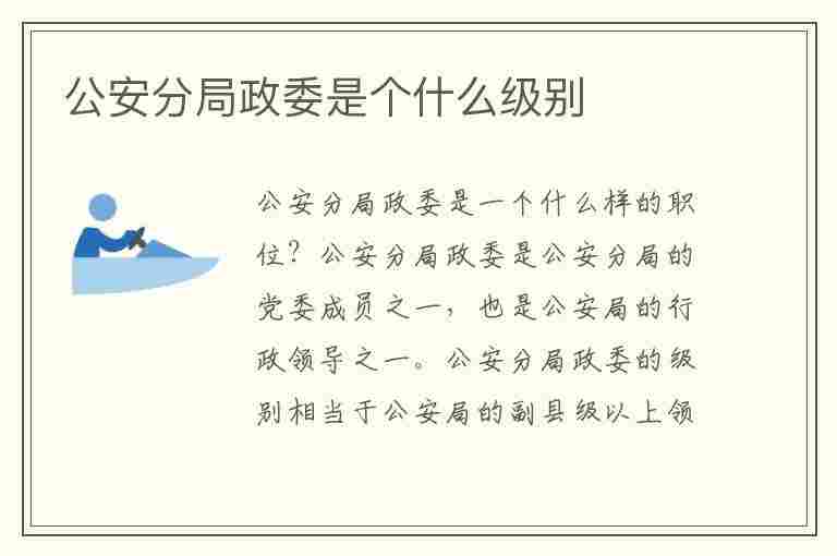 公安分局政委是个什么级别(公安分局政委是个什么级别干部)